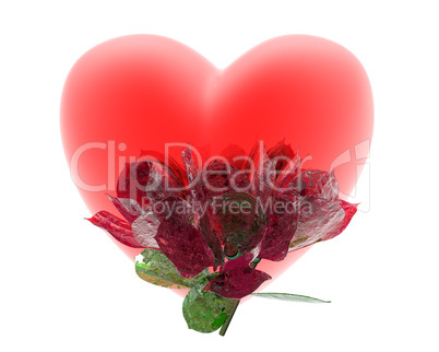 red heart isolated on a white