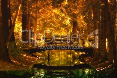Herbstwald in Gold mit Brücke und einem Fluss
