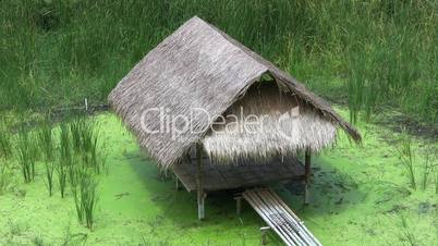 Bamboo Grass Hut Over A Swamp