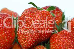 Erdbeeren