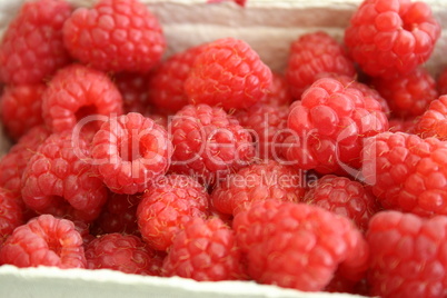 Himbeeren