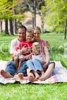 Portrait of a smiling family having a picnic