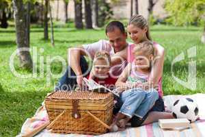 Smiling family reading while having a picnic