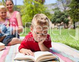 Serious little boy reading while having a picnic with his family