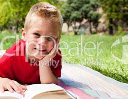 Cute little boy reading at a picnic