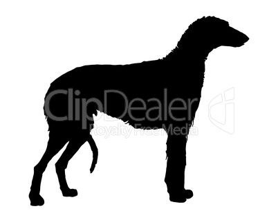 Schwarze Silhouette von einem Deerhound