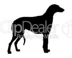 Schwarze Silhouette von einem Deerhound