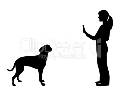 Hundetraining (Obedience), Befehl Steh und Bleib!