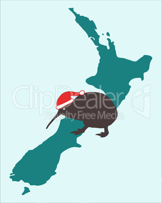 Weihnachtskiwi in Neuseeland