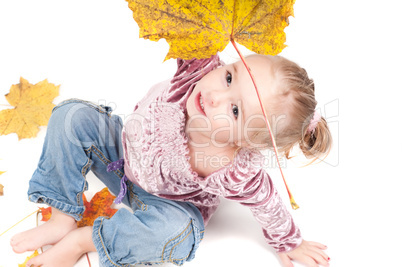 Toddler with maple leaves