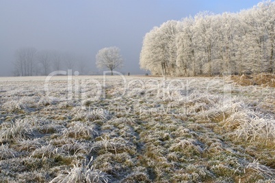 Winterlandschaft