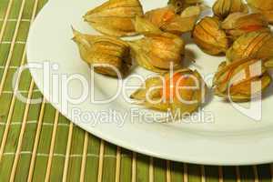 Physalis