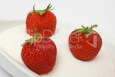 Erdbeeren Erdbeeren