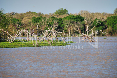 Lake near Galveston, Texas