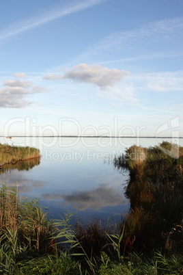 Uferlandschaft am norddeutschen Bodden