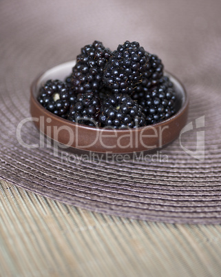 Bowl of Blackberries
