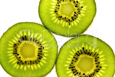 Kiwi 09