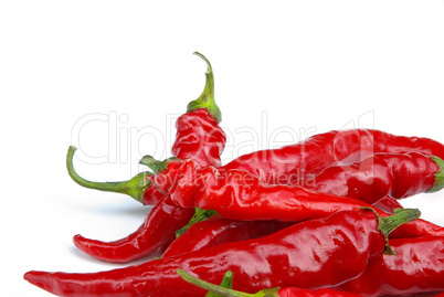 Peperoni - chile pepper 07