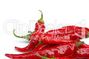 Peperoni - chile pepper 07