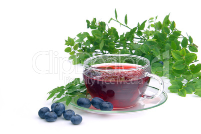 Tee Heidelbeere - blueberry tea 13