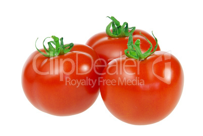 Tomate - tomato 24