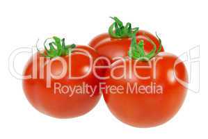 Tomate - tomato 24