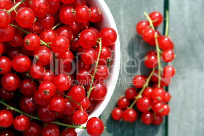 Johannisbeeren