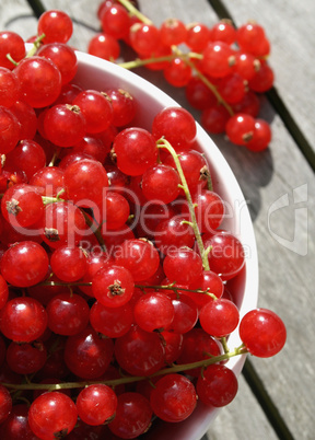 Johannisbeeren