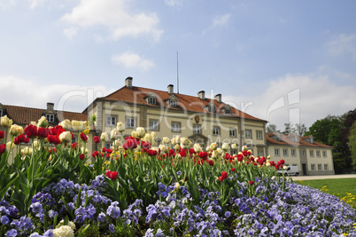 Wilhelm Busch Museum