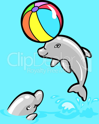 Playing dolphins