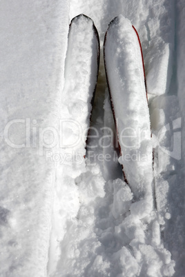 Skispitzen im Pulverschnee