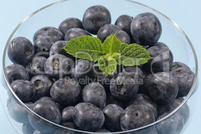 Blaubeeren