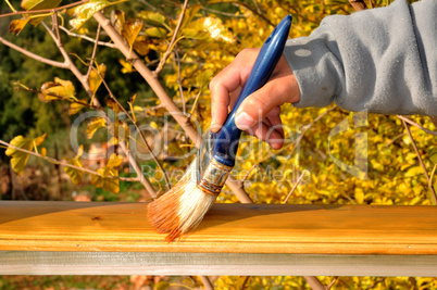 Painting wood