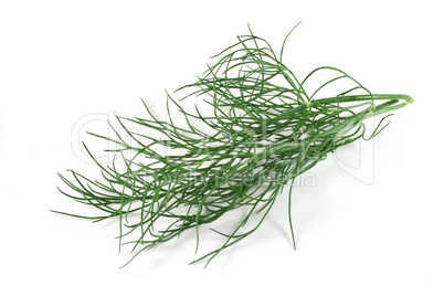 Dill