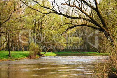 Spree in Frühjahr