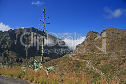 Serpentinenstrasse nach Masca - Teneriffa