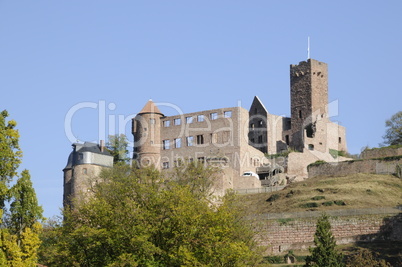 Burgruine in Wertheim