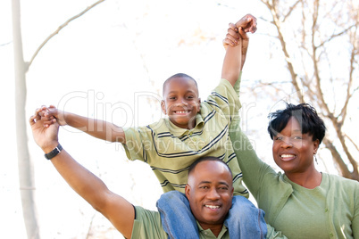 African American Family in the Park