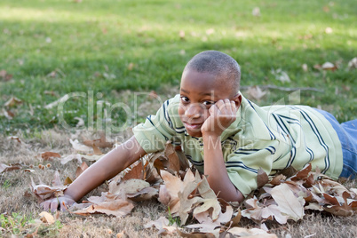 Young African American Boy in the Park