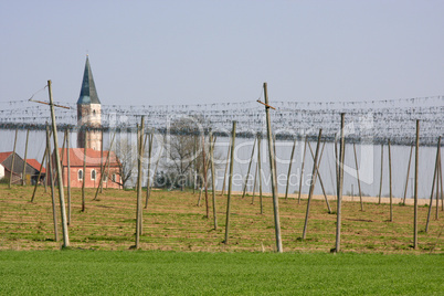 Kirche und Hopfen