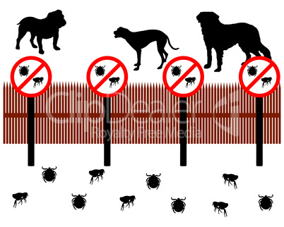 Hunde hinter Zaun zum Schucken gegen Zecken und Flöhe