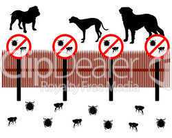 Hunde hinter Zaun zum Schucken gegen Zecken und Flöhe