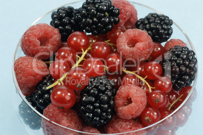 Beeren