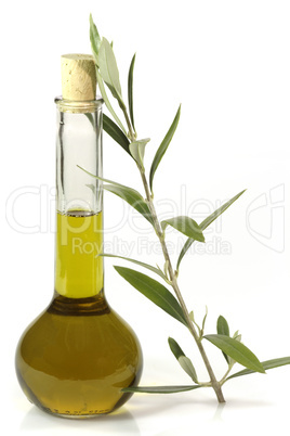 Olivenöl mit Olivenzweig