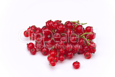 Johannisbeere - currant 10