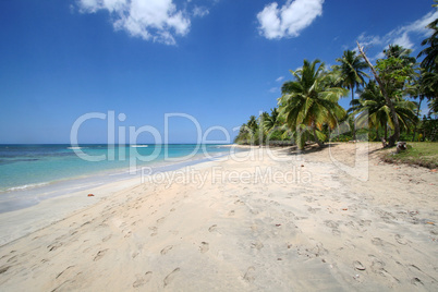 Karibischer Strand mit Spuren im Sand