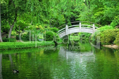 Moon Bridge, Japanese Gardens