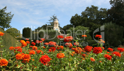 Fall Gardens