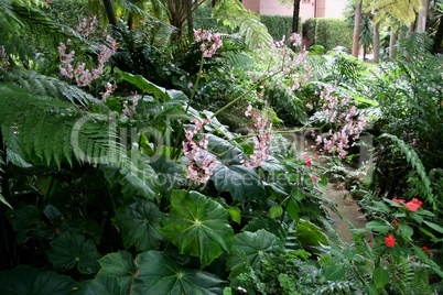Fern Garden, Lotuslan