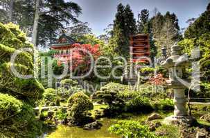 japanese Style garden